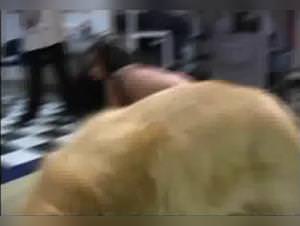 Slut with Dog: Extreme XXX Delights