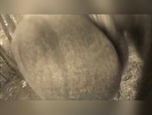 Big Tits Slave Girl Dog Sex Extreme