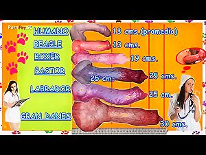 Best sluts for dog or cat fucking