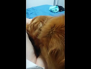 Dogs Fucking Girls - Zoo Lkoo Extreme Orgies