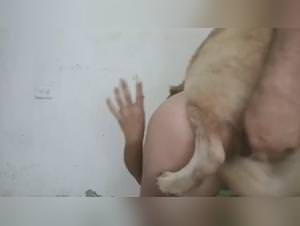 Bitch escravized by her dog: vile pleasures