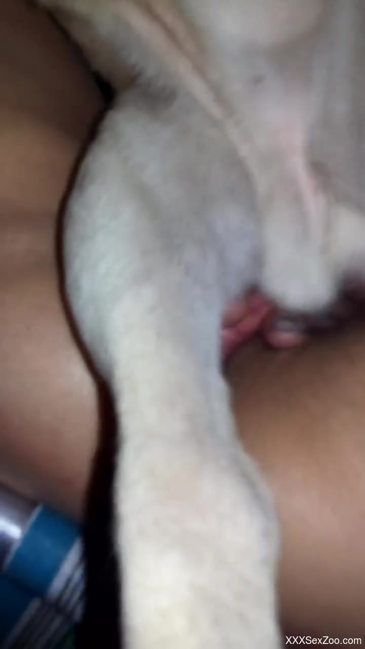 Wonderful sex scene featuring deep penetration