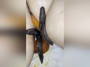 Woman Fuck Dog Extreme