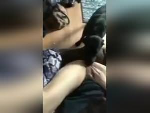 Forbidden fantasy: wild animal sex & hardcore