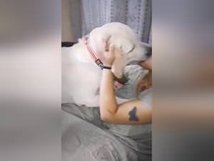 Dog Kiss Porn - Woman Gets Fucked by Dog