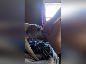 Beastiality: The cat loves her dog