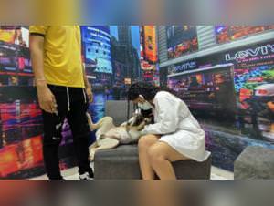 Dog Bestial Sex - Milly & Her Dog Extreme Part 2