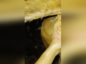 Cow Pussy Slapped: Extreme Animal Sex