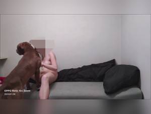 Dog Fucks Girl Training