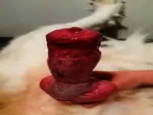 Sexzoo porn for women, erotic animal sex