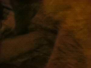 Iris fucks dog, french slut