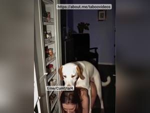 Dog Sex Frenzy: Canine Assault