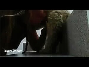 Passionate Love Between Lesbian And Her Dog At ZTube.org