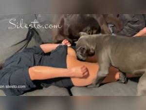 Veronica's First Lesson: Dog Fucking with Cane Corso Zeus