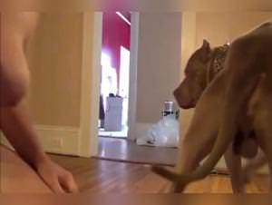 Dog Rimming MILF Hardcore