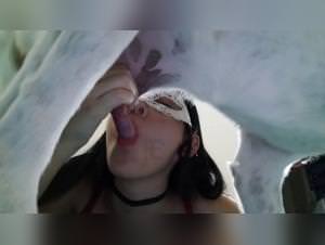 Wild dog sex madness