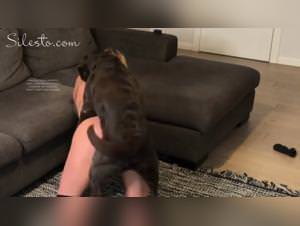 Zoo skool Madness: Veronica Silesto's Animalpornrocks Debut