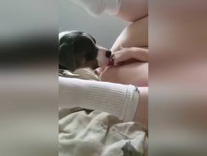 Animal porn extreme: she fucks her dog raw