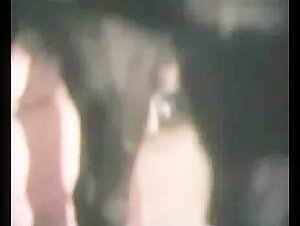 Dog sex videotape