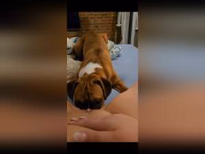 Dog Fuck French Girl Extreme Video