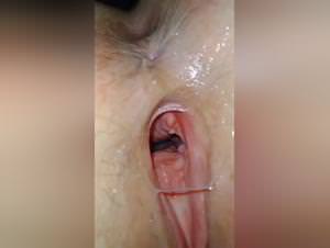 Bestiality avec des chien et femmes, porno zoo animalerie