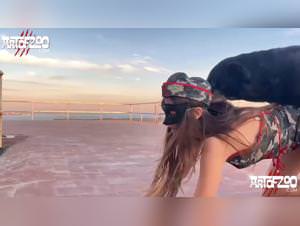 Dog fucking Law UK: Beastiality Taboo on Art Zoo