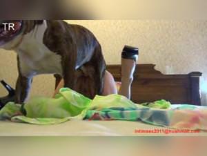 Slut fucks dog at home