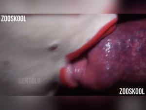 Yasmin's Zoophiliac Adventures: The Animal Porn Zone