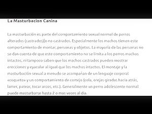 Bestiality Guide: Everything You Need to Know