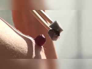 Wasp's Frenzy: Girl Dog Sex