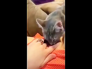 Zoo porn sex animal XXX extreme animal lover