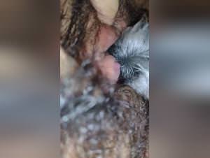 Dog sex fantasies unleashed