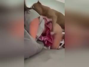 Wild Dog Fuck Girl - Part 1