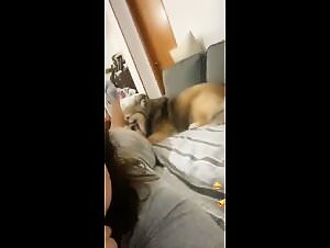 Bestiality explicit videos with dogs and prostitutes