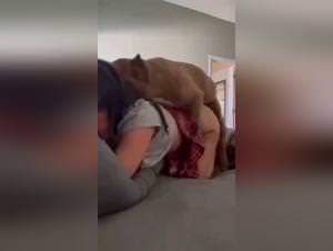 Animal sex frenzy, knotted depravity, raw pleasure