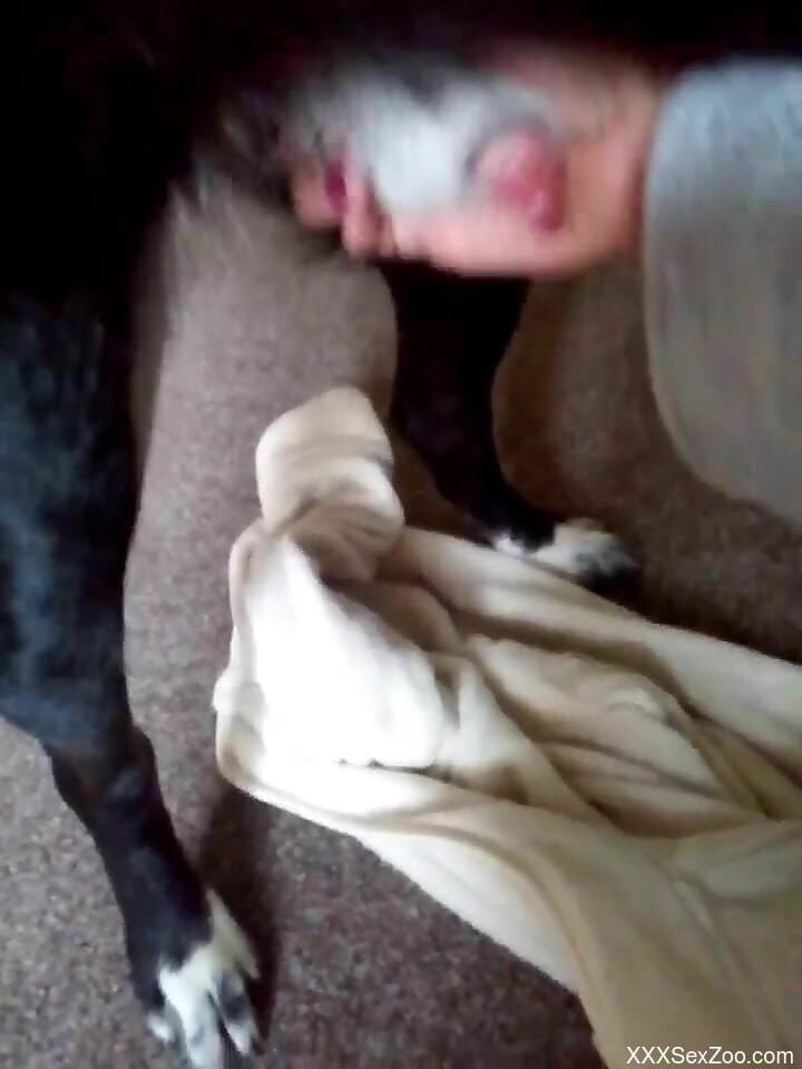 Guy helps this beast jerk off in a very hot way