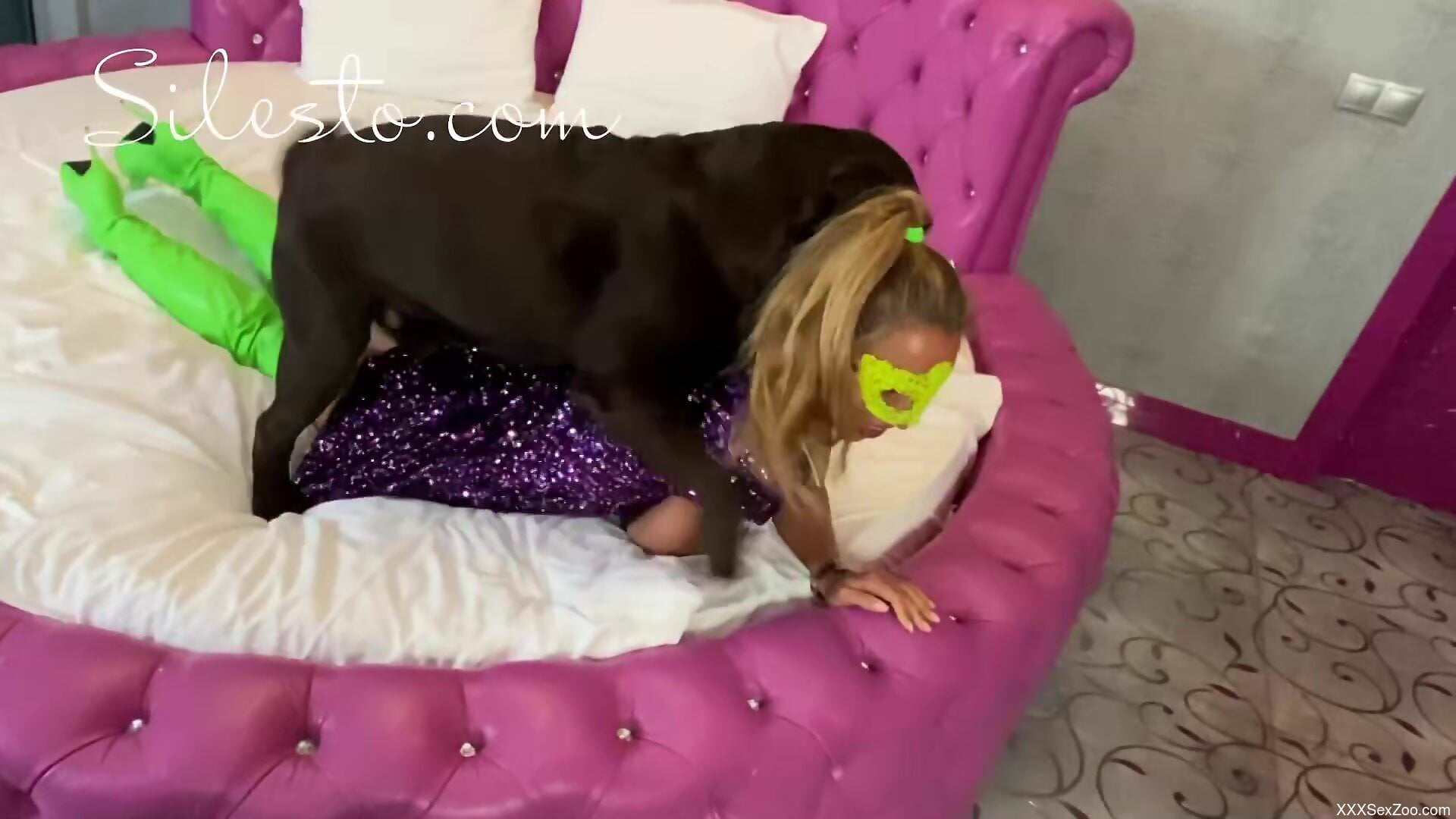 Blonde babe with insane curves gets roughly fucked by the dog