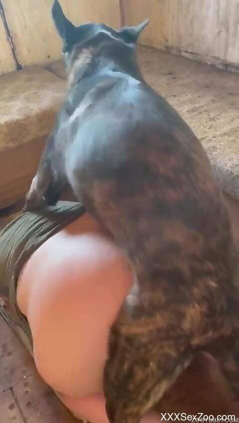 Nude woman taped at home when the dog tears through her pussy