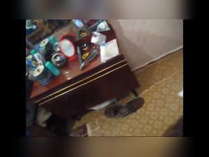 Dog fucks girl, my squirting pussy