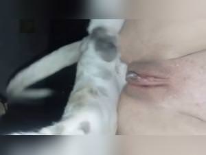 Doggy style creampie: raw and unleashed