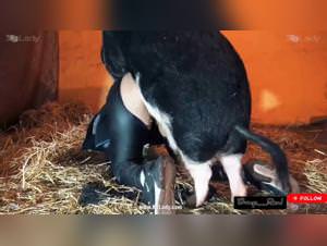 Selena - Cow Fuck Girl