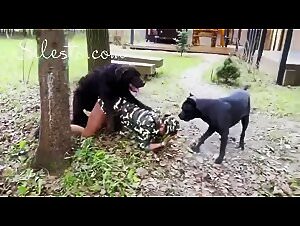 Liltimy Zoo Art: The crazy erotomania of Veronica Silesto