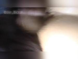 Dog Fuck Girl Part 2 - Extreme Porn