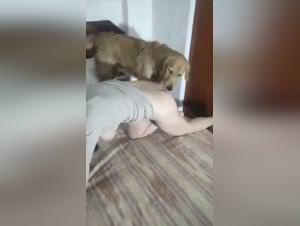 Beastly Canine Love & Wild Sessions