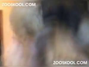 Angelina Eye On The Dog: Bitch Fucked by Her Dog