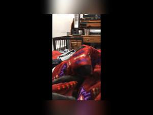 Extreme dog sex, taboo pleasures