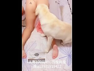 Erotique dog rape videos free, watch animated beastiality on our site