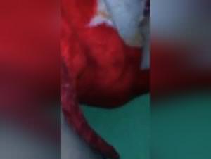 Bitch Dog Sex Video [XXX] New Footage