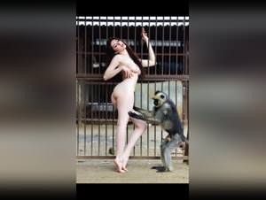 Horny Monkey: Woman Dog Sex