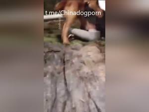 Asian student gets wild doggy style action